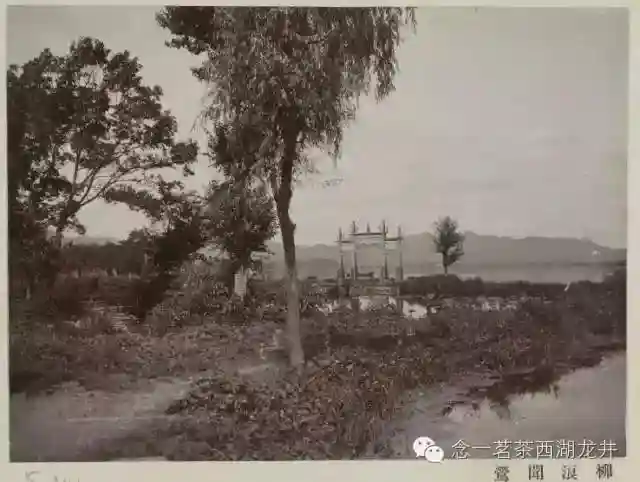 喫茶！杭州話：quoe za~